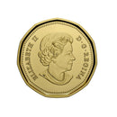 2022 Canada Loon Proof Non Silver Coin