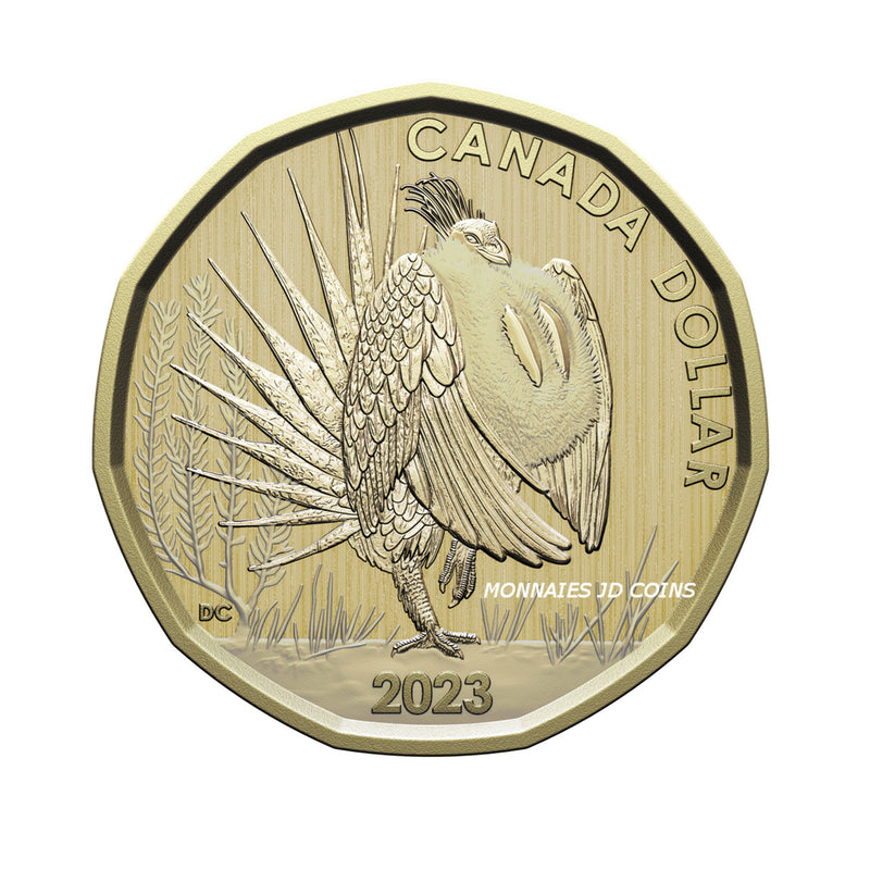 2023 Canada Sage-Grouse Loon Specimen