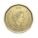 2023 Canada $1 Loon 1952-2022 Quenn Elizabeth II Coin BU(MS-63)