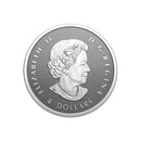 2023 Canada 35th Anniversary Of The Silver Maple Leaf Fine Silver 99.99% Fractional Set