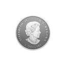 2023 Canada 35th Anniversary Of The Silver Maple Leaf Fine Silver 99.99% Fractional Set