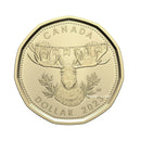 2023 Canada Baby Loon Little Moose BU(MS-63)