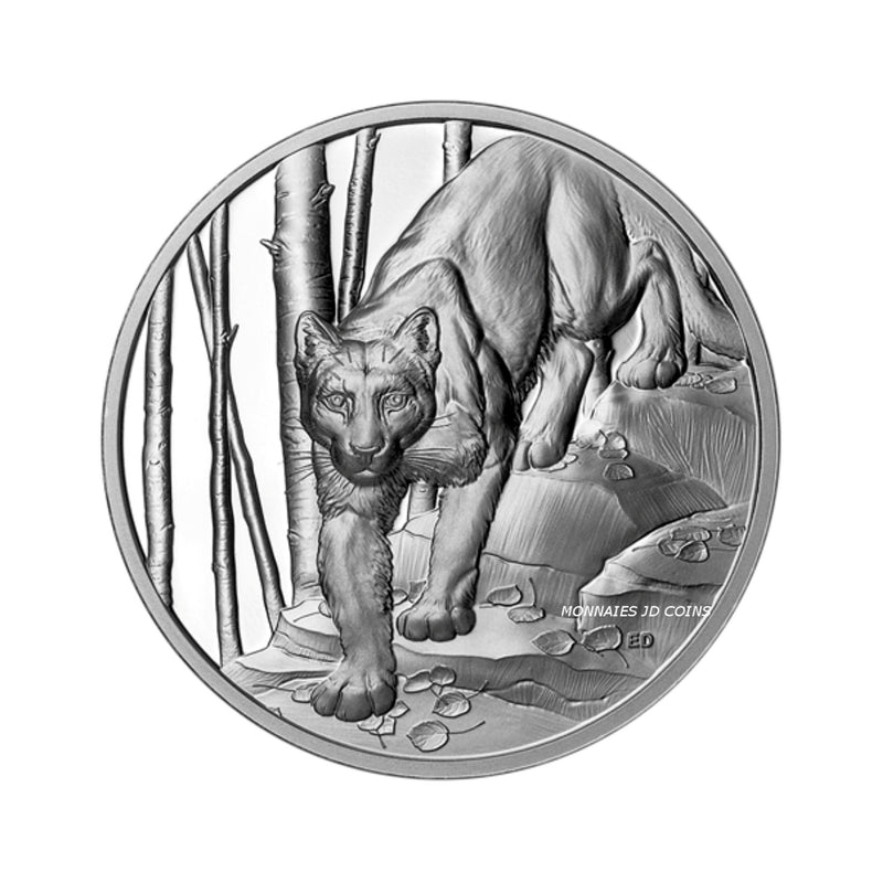 2024 Canada $20 Great Hunters Cougar Ultra High Relief Fine Silver Coin (No Tax)