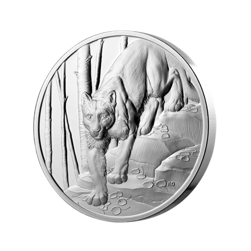 2024 Canada $20 Great Hunters Cougar Ultra High Relief Fine Silver Coin (No Tax)