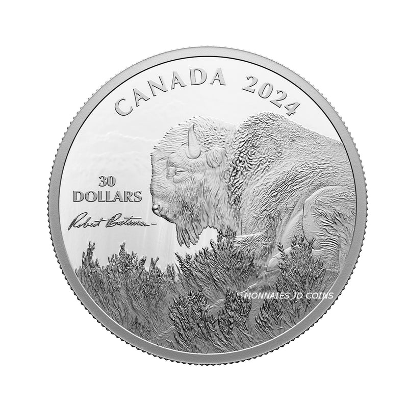 2024 Canada $30 Weather Watch Bison by Robert Bateman Fine Silver (No Tax)