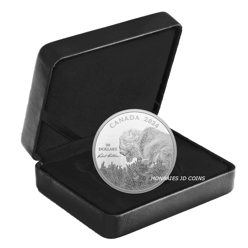 2024 Canada $30 Weather Watch Bison by Robert Bateman Fine Silver (No Tax)