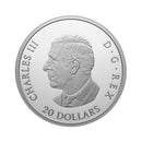 2024 $20 The Royal Canadian Air Force Centennial Fine Silver (No Tax)