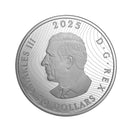 2025 CANADA MAGIC of the NORTHERN LIGHTS 2oz .9999 Silver GLOW IN DRK $30 Coin
