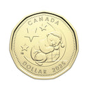 2025 Canada Baby Loon Coin BU (MS-63)
