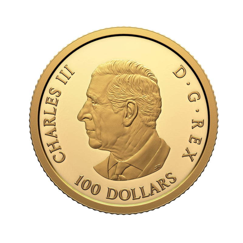 2025 $100 Canada Tomb of the Unknown Soldier Pure Gold Coin (2000–2025) (No Tax)