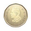 2025 Canada Monarch Butterfly Specimen $1 Dollar Coin Mint From Set