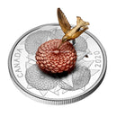 2020 Canada $50 The Hummingbird and the Bloom Fine Silver Coin