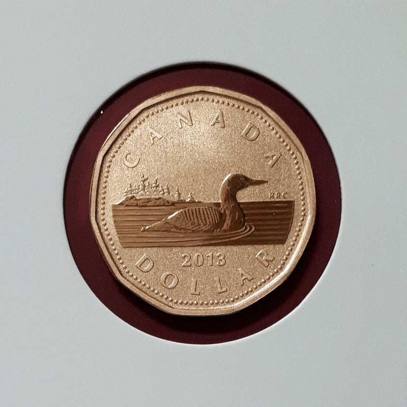 2013 Canada Loon Specimen Uncirculated Coin