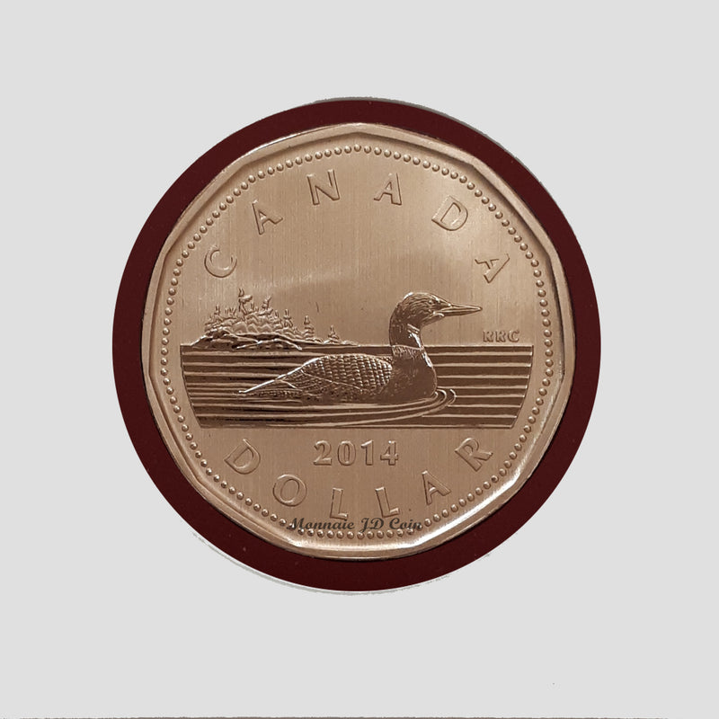 2014 Canada Loon Specimen Uncirculated Coin