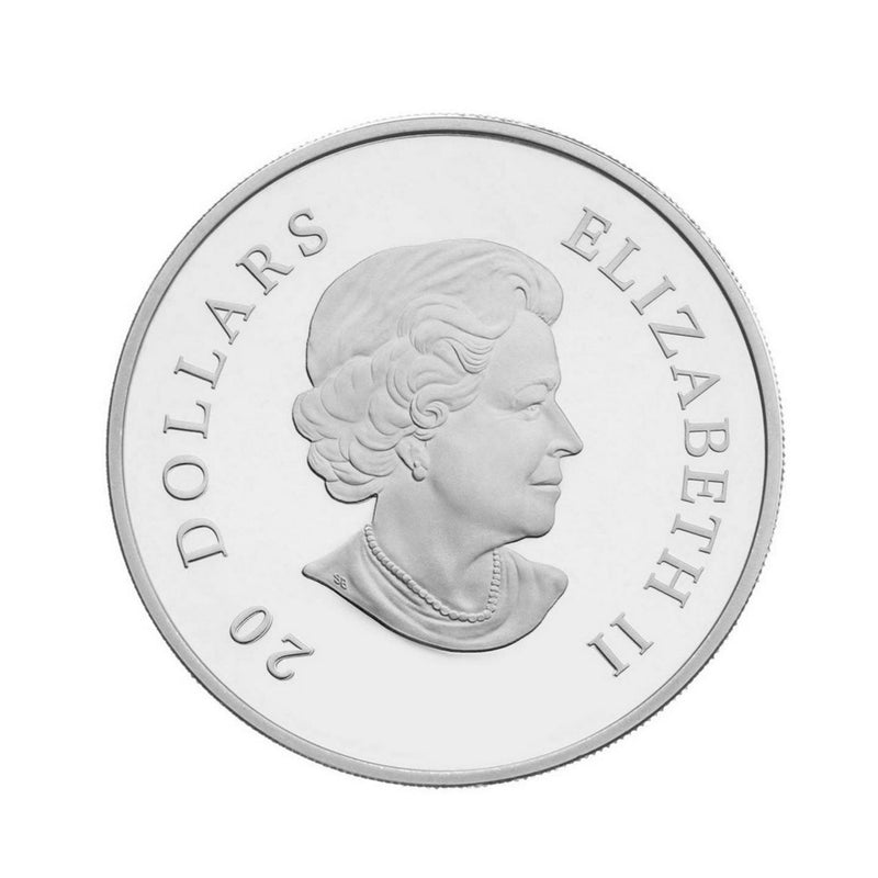2010 Canada $20 Moonlight Crystal Pinecone Fine Silver Coin