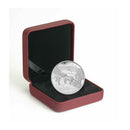 2011 Canada $20 Winter Scene Fine Silver Coin (No Tax)