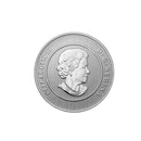 2012 Canada $20 Polar Bear ($20 for $20) Fine Silver