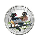 2013 Canada 25 Cents Coloured Ducks Of Canada Coin Wood Duck