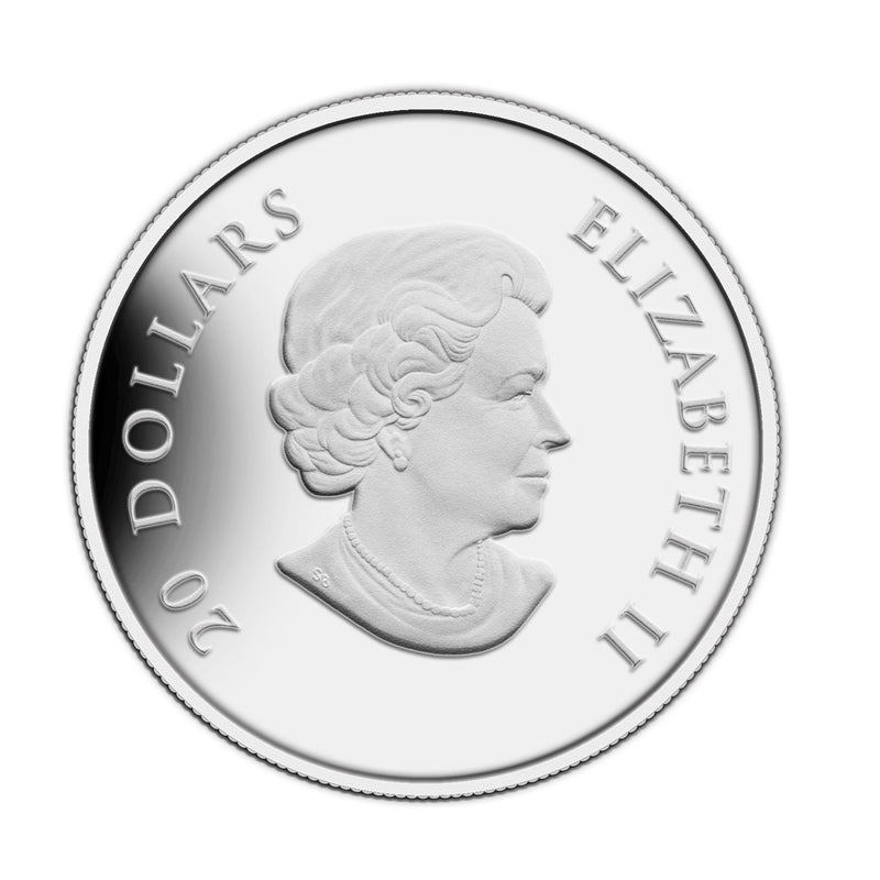 2013 Canada $20 Winter Snowflake Fine Silver