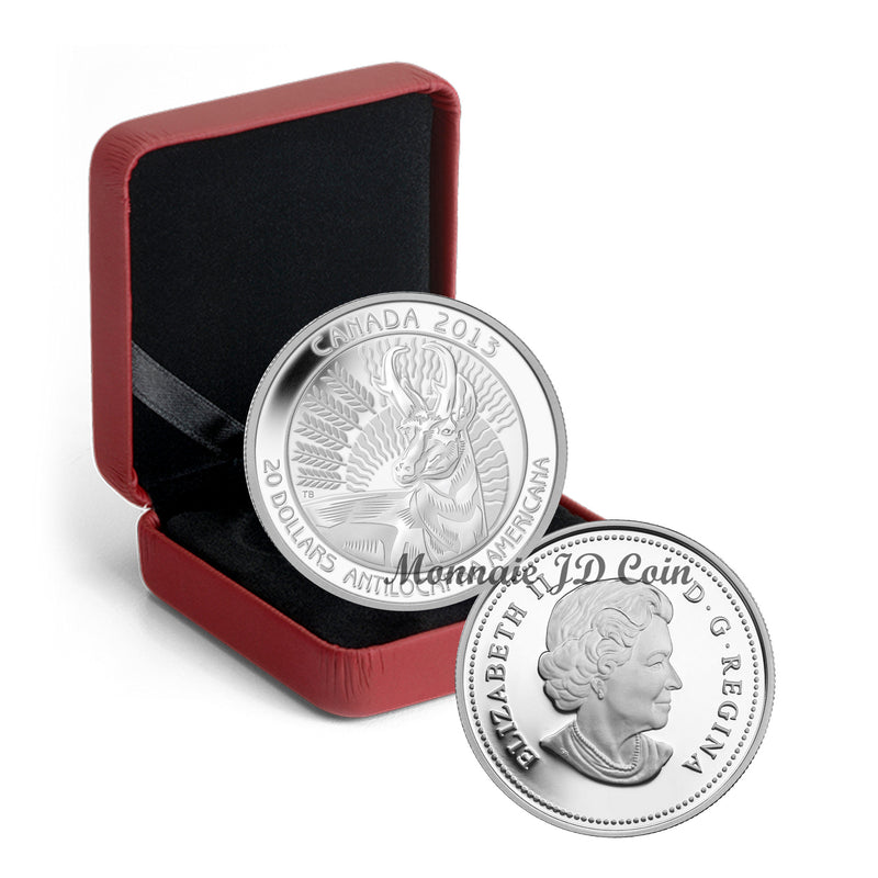 2013 Canada $20 Untamed Canada Pronghorn Antilope Fine Silver Coin (103)