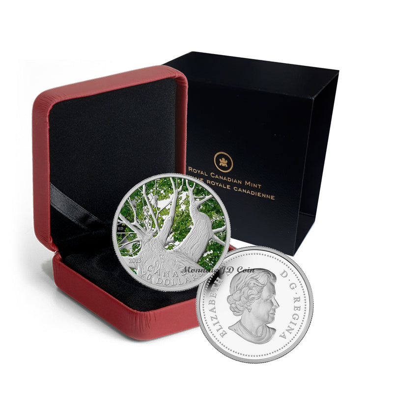 2013 Canada $20 Canadian Maple Canopy Spring Fine Silver Coin (No Tax)