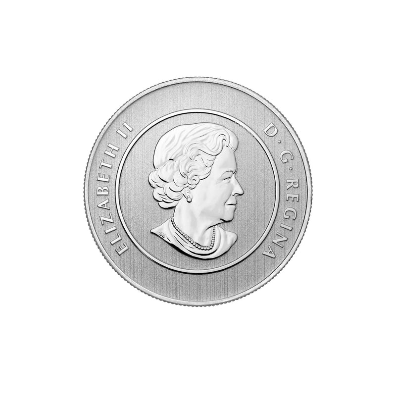 2014 Canada $20 Canada Goose Fine Silver Coin ($20 for $20