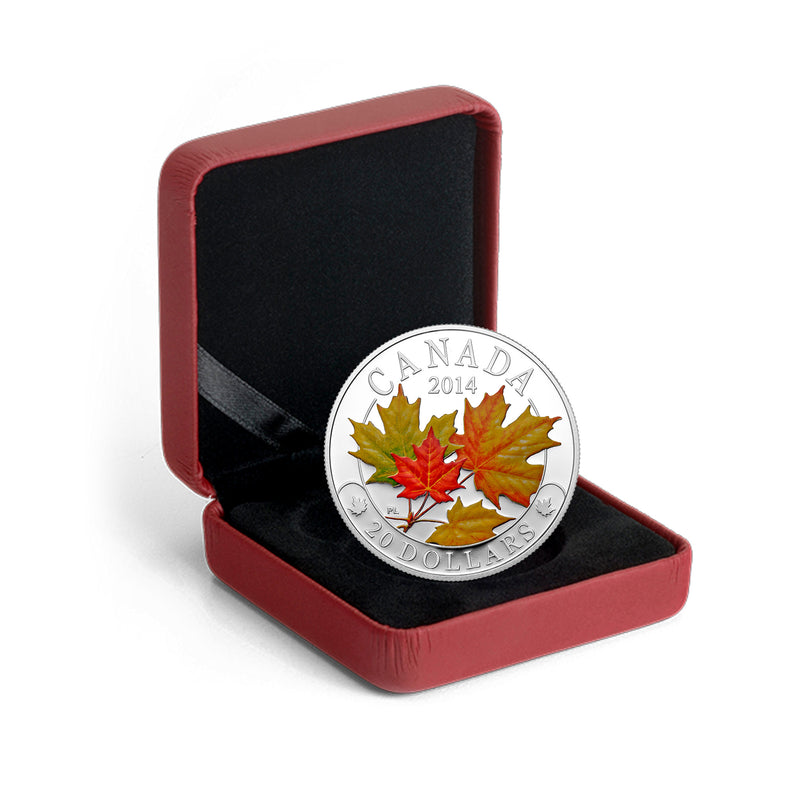 2014 Canada $20 Majestic Maple Leaves with Colour Fine Silver (No Tax)