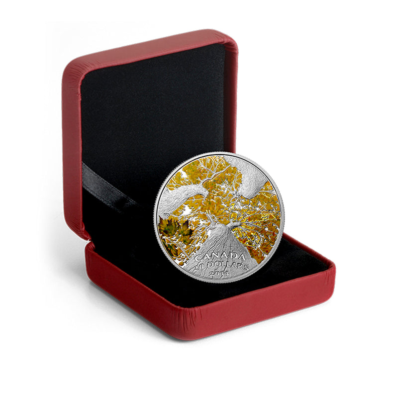 2014 Canada $20 Maple Canopy: Autumn Allure Fine Silver (No Tax)