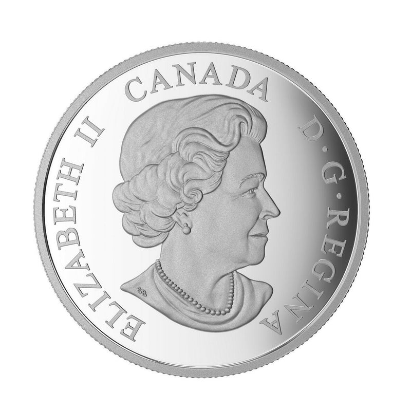 2014 Canada $20 Bison: A Family at Rest (