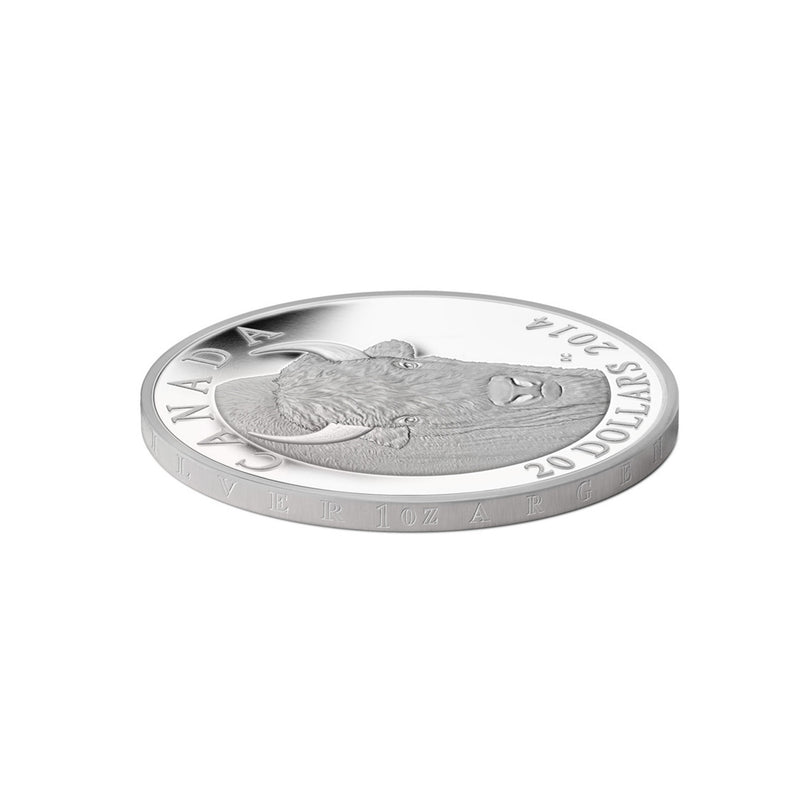 2014 Canada $20 The Bison: A Portrait (