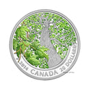 2014 Canada $20 Maple Canopy Spring Splendor Coloured Pure Silver (No Tax)