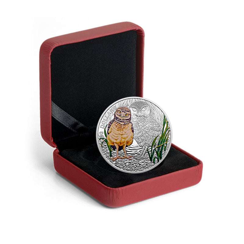 2015 Canada $20 Baby Animals: Burrowing Owl Fine Silver (No Tax)