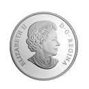 2015 Canada $20 Venetian Glass Turtle & Broadleaf Flower Silver Coin (5)