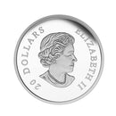 2015 $20 Lost Ships in Canadian Waters - Franklin's Lost Expedition Fine Silver (No Tax)