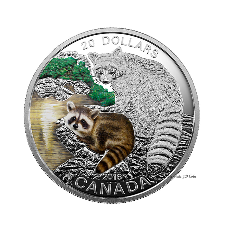 2016 Canada $20 Baby Animals - Baby Raccoon Fine Silver (No Tax)