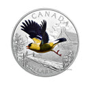 2016 Canada $20 Migratory Birds American Goldfinch Silver Coin