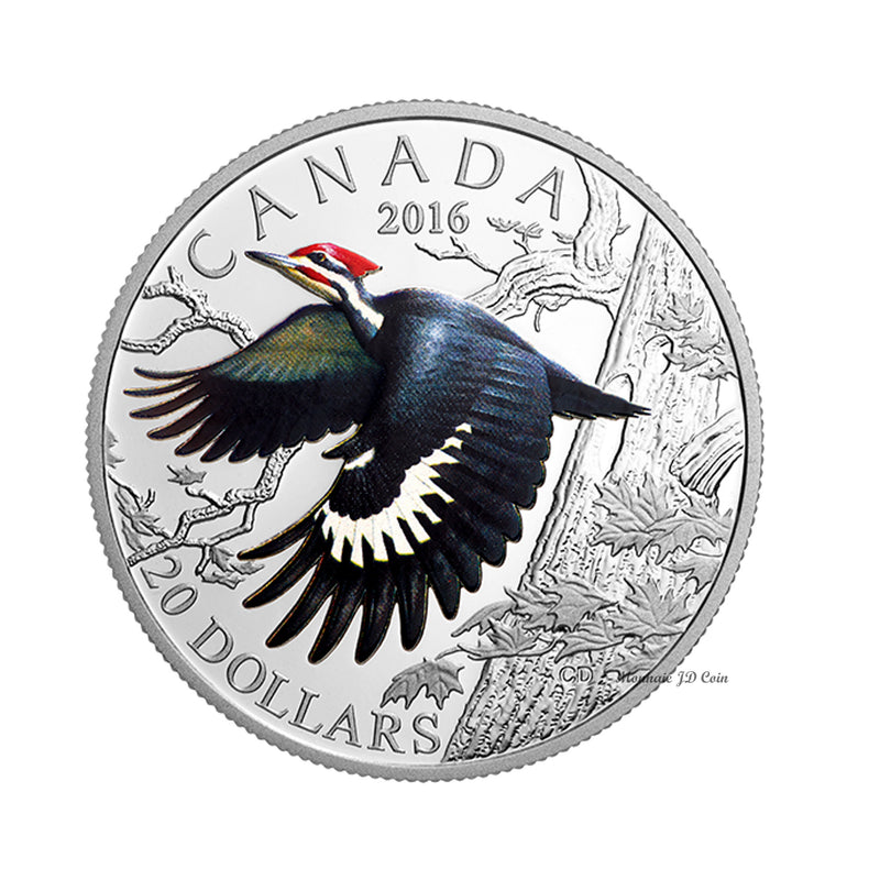 2016 Canada $20 Migratory Birds The Pileated Woopeck Silver Coin