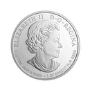 2016 Canada $20 Migratory Birds The Pileated Woopeck Silver Coin