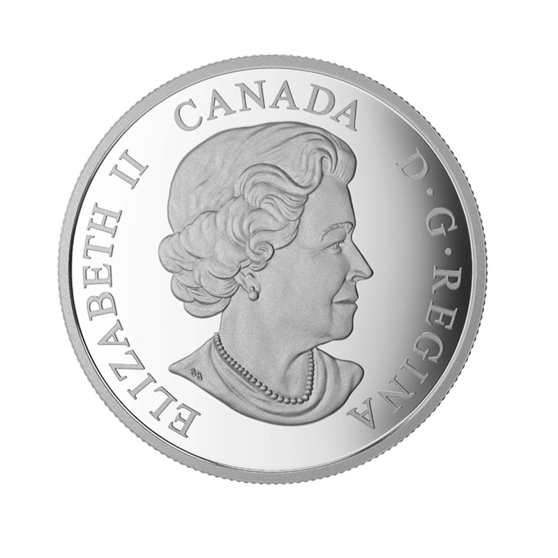 2016 Canada $20 Snowy Owl Fine Silver coin (No Tax)