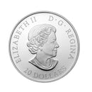 2016 Canada $20 The Universe Glass With Opal Glow In Dark Silver Coin