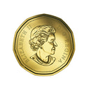 2016 Canada Oh Canada Gift Set with Special Maple Leaf Loonie Coin