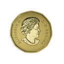 2016 Canada Specimen Set With Special Tundra Swan Loon Dollar