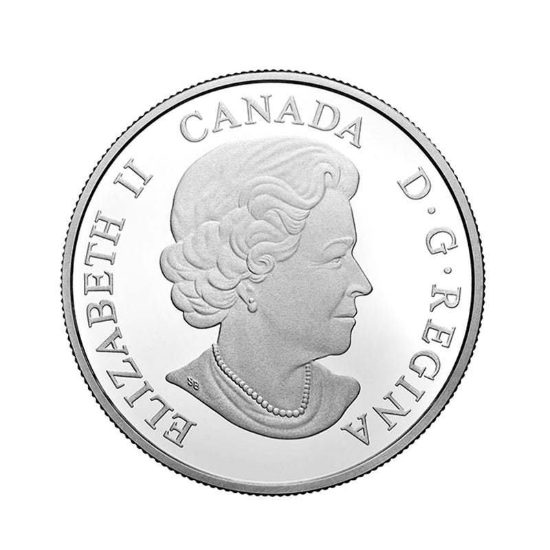 2017 Canada $20 Brilliant Birch Leaves with Drusy Stone Fine Silver (No Tax)