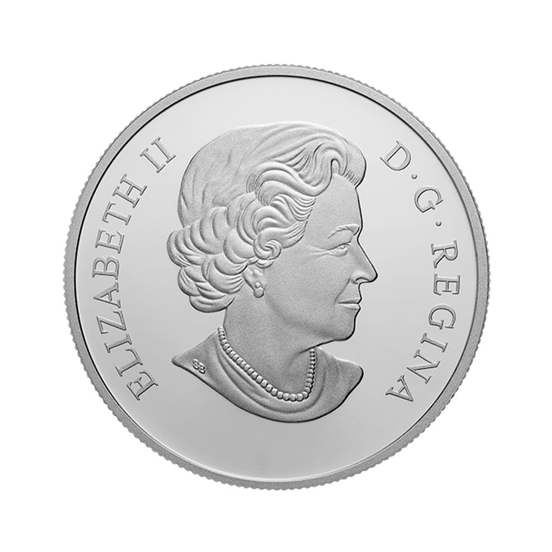 2017 Canada $20 Canoe To Tranquil Times Fine Silver Coin (62)