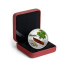 2017 Canada $20 Canoe To Tranquil Times Fine Silver Coin (62)