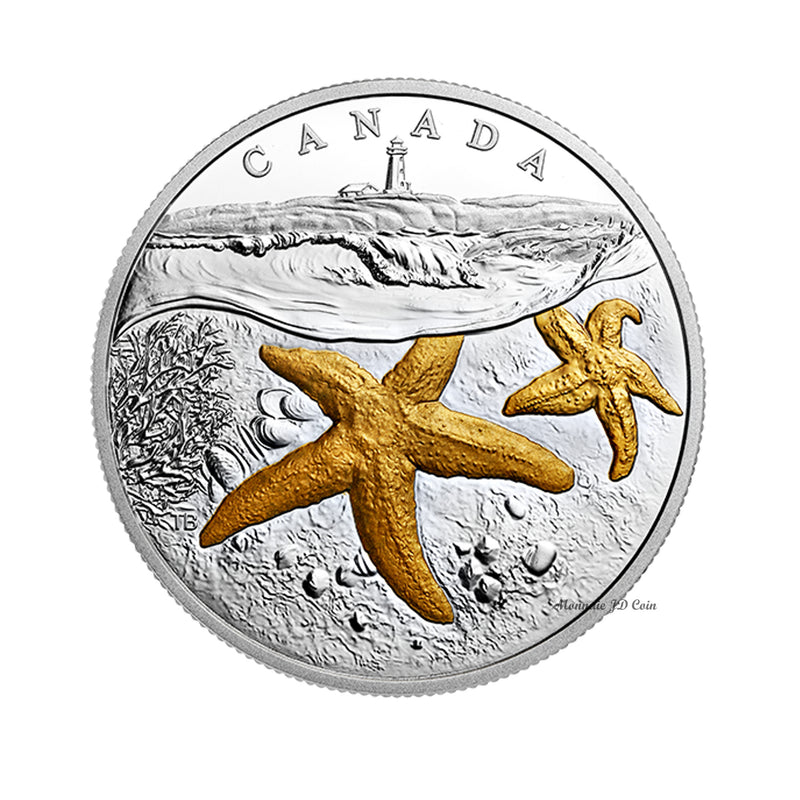 2017 Canada $20 From Sea to Sea - Atlantic Starfish Gold-Plated Silver (No Tax)