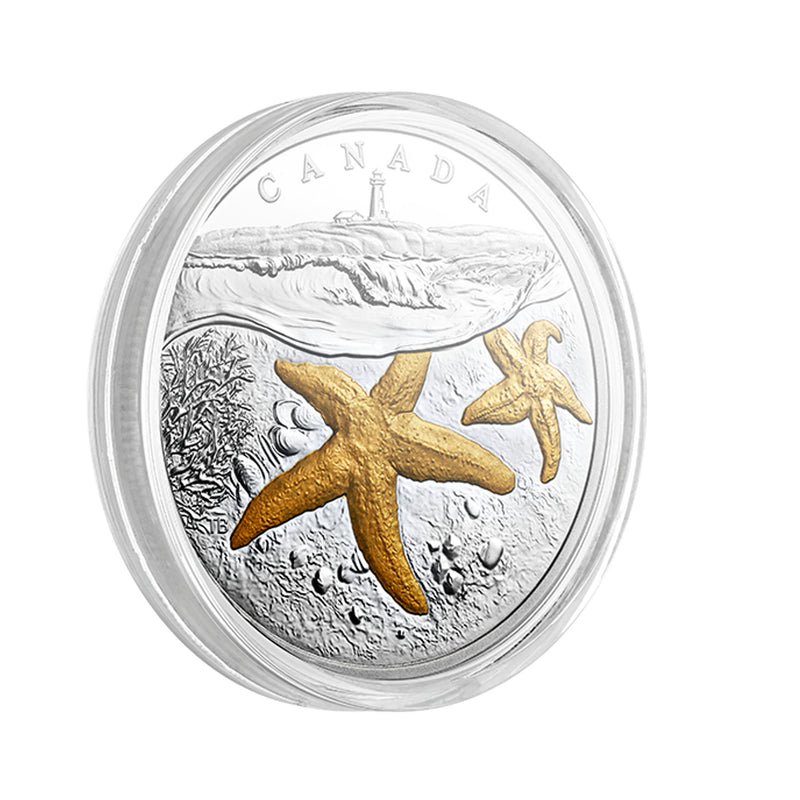 2017 Canada $20 From Sea to Sea - Atlantic Starfish Gold-Plated Silver (No Tax)