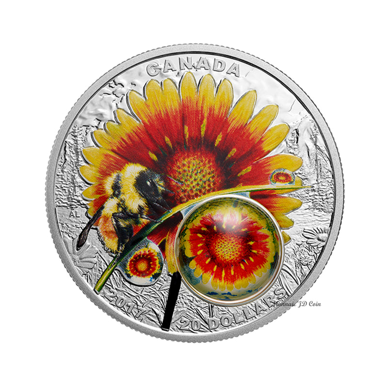 2017 Canada $20 Mother Nature's Magnification Beauty Under The Sun (No Tax)