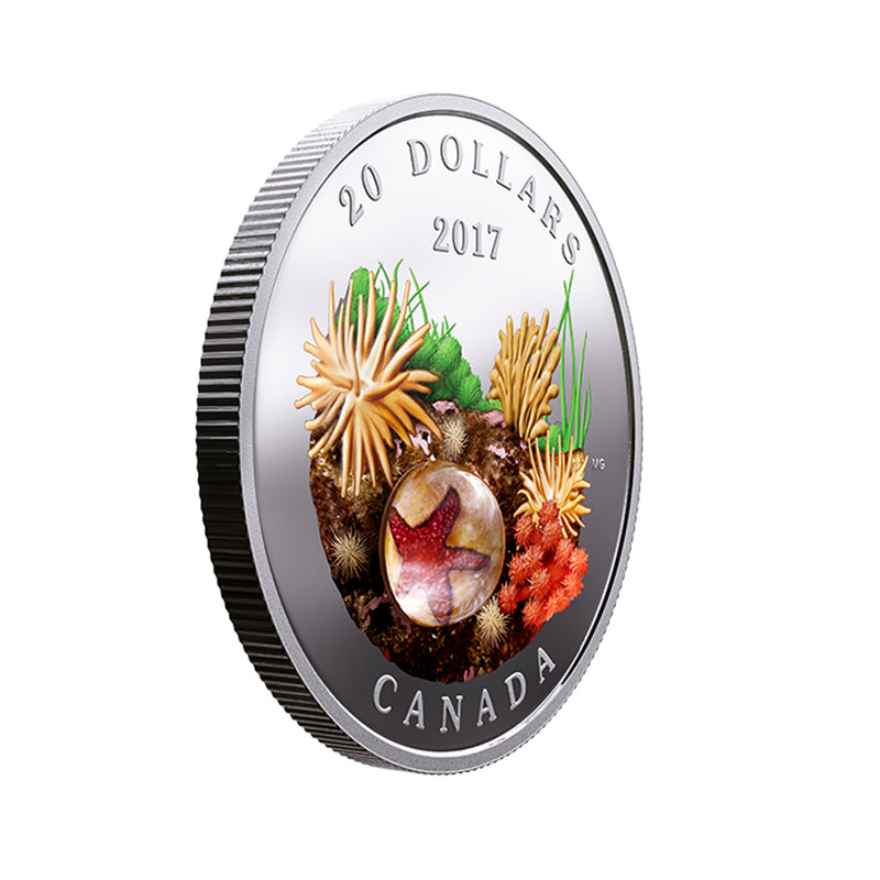 2017 Canada $20 Under The Sea Sea Star Fine Silver Coin