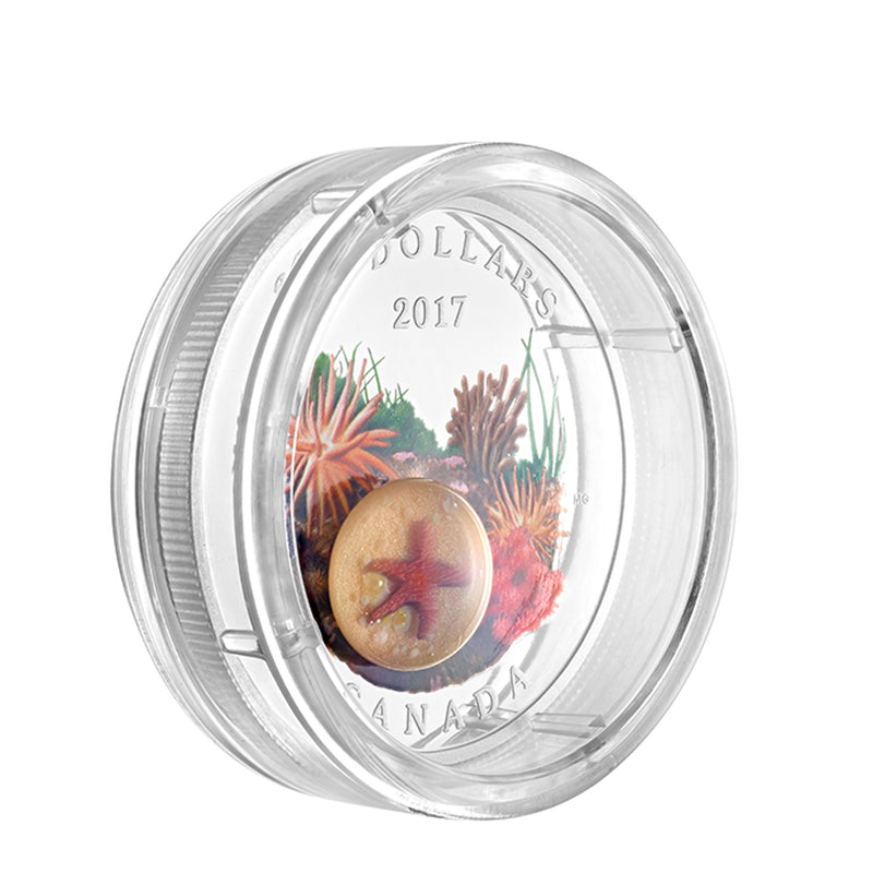 2017 Canada $20 Under The Sea Sea Star Fine Silver Coin